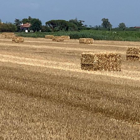 Agriturismo Ca' Alleata Caorle Exteriör bild