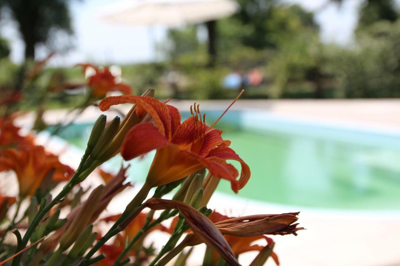 Agriturismo Ca' Alleata Caorle Exteriör bild
